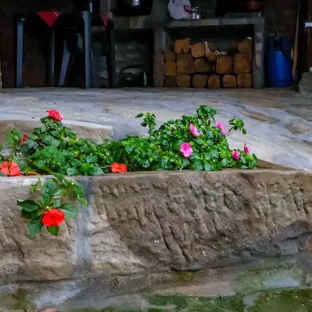 Gozdeika * Gozdeyka