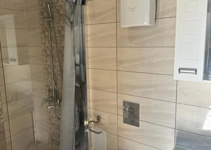 Gozdeika Guest house *